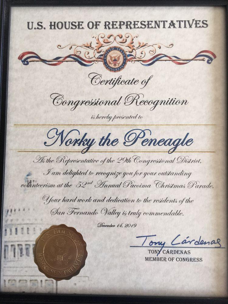 Norky, Congress House of Representatives